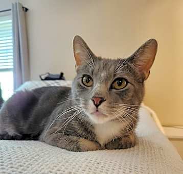 Photo of Sailor
