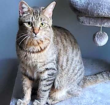 Photo of Molly