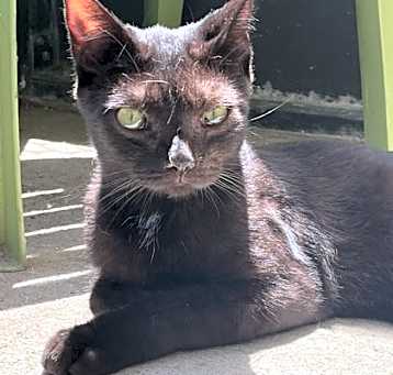 Photo of Jenson (Jetty) (Cocoa)