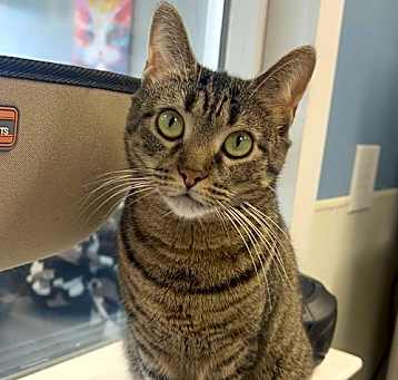 Photo of Gertie
