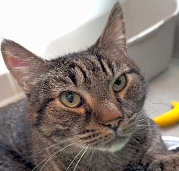 Photo of Spike