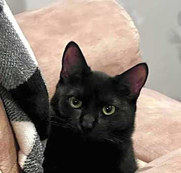 Photo of MAGGIE
