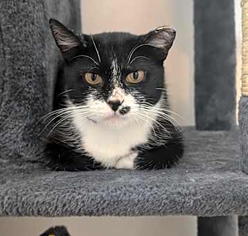 Photo of Wednesday