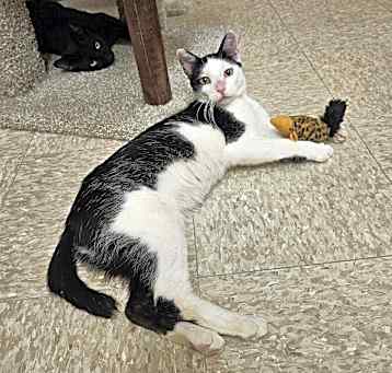 Photo of Snickers