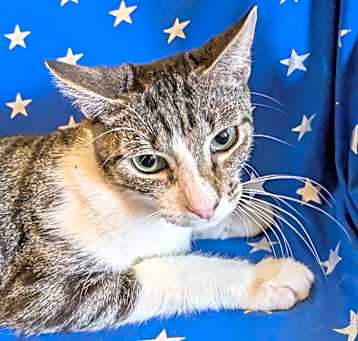 Photo of Sampson