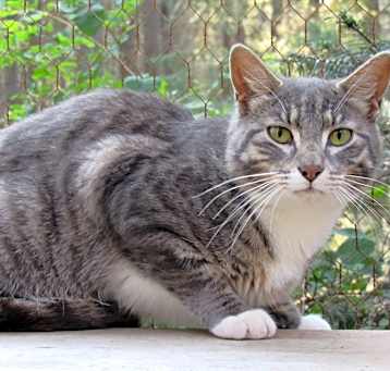Photo of Vinnie