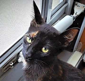 Photo of Berry