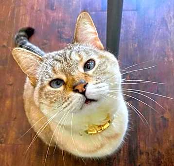Photo of Macy