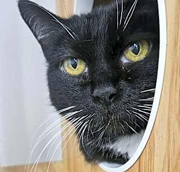 Photo of Missy