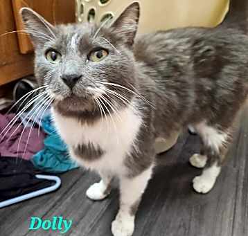 Photo of Dolly