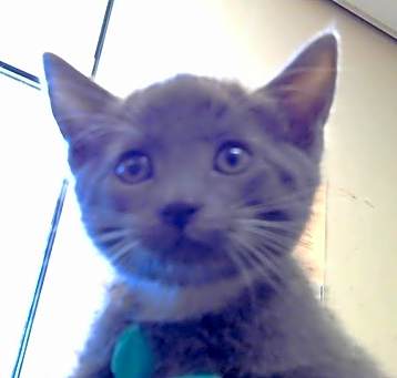 Photo of No Name