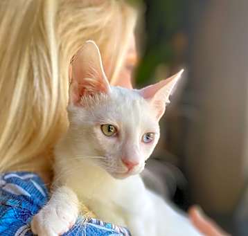 Photo of Mavi & Major