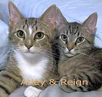 Photo of Atley & Reign
