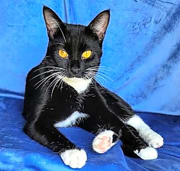 Photo of KITTY WENDELL