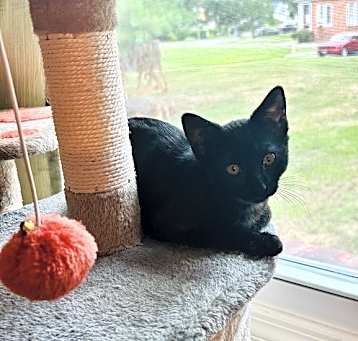 Photo of Winnifred