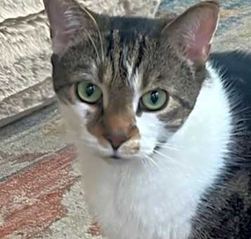 Photo of Todd