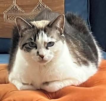 Photo of Margo