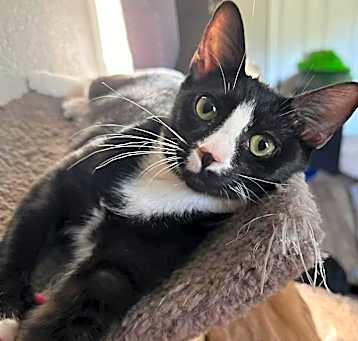 Photo of Lala