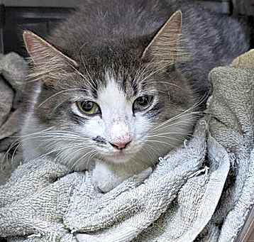 Photo of Sprout