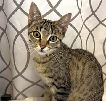Photo of Luna