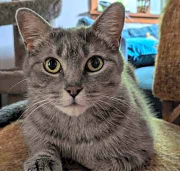 Photo of Cassidy