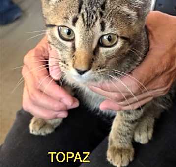 Photo of TOPAZ