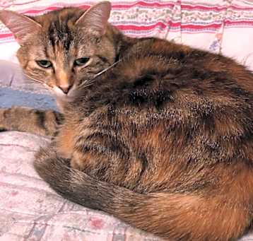 Photo of Kelsey
