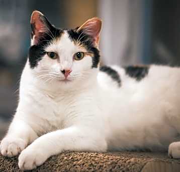 Photo of Lily aka Jaga