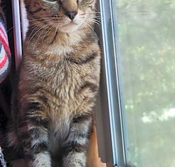 Photo of Artemis