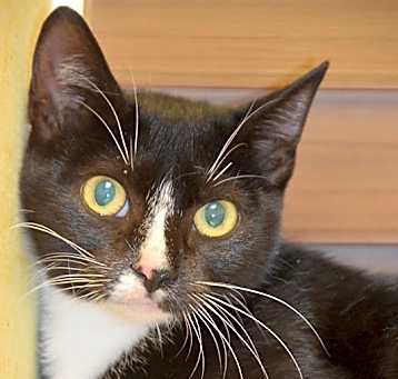 Photo of Rowena