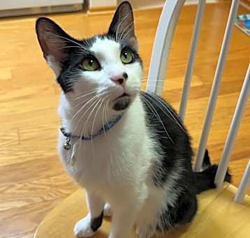 Photo of Jasper