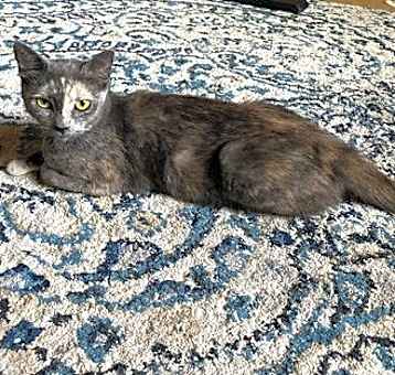 Photo of LUNA