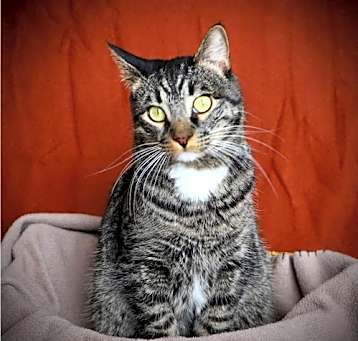Photo of Kingston