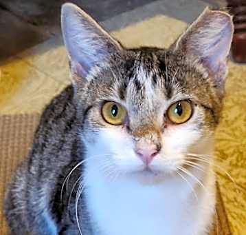 Photo of Sophia