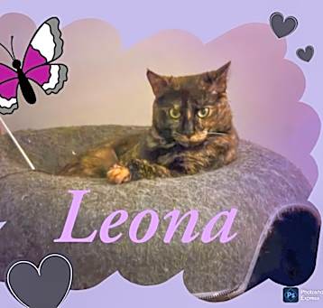 Photo of Leona R