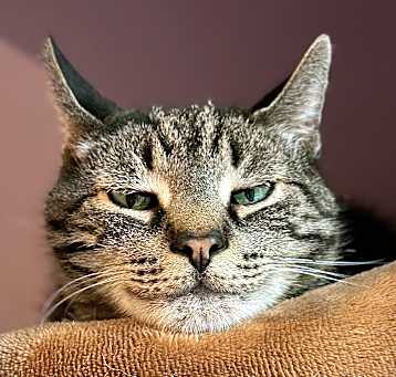Photo of Wilbur