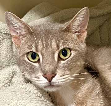 Photo of Harley