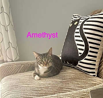 Photo of Amethyst