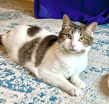 Photo of Leia