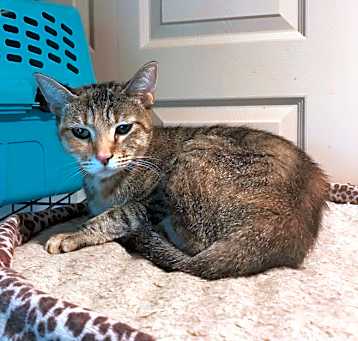 Photo of Mame