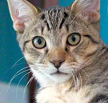 Photo of Thomas
