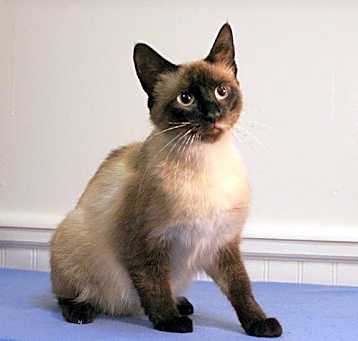 Photo of Heidi