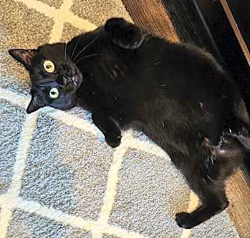 Photo of Ritzy Mitzy