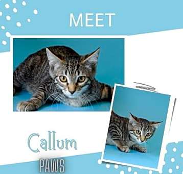 Photo of Callum