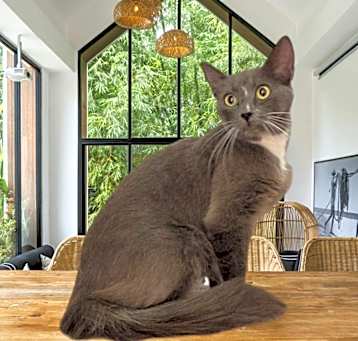 Photo of Fiona