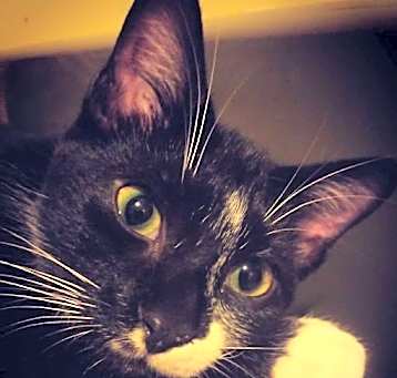 Photo of TidBit
