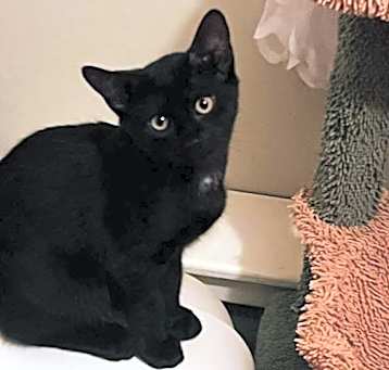 Photo of shadow