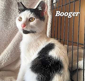 Photo of Booger