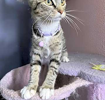 Photo of Bonnie