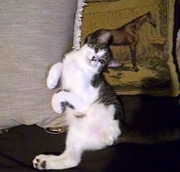Photo of Brodie a tripod